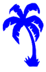 palm tree